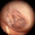 DSCN2649