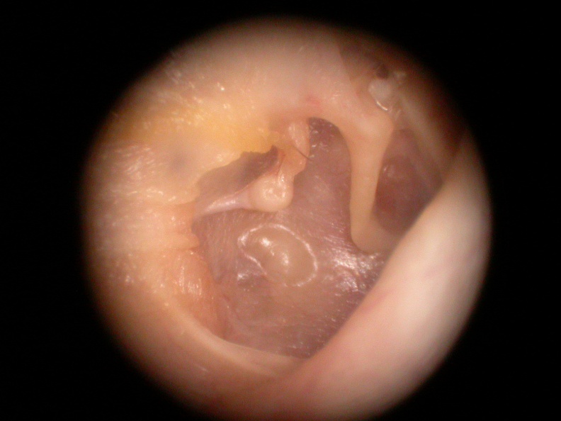 DSCN2651.JPG