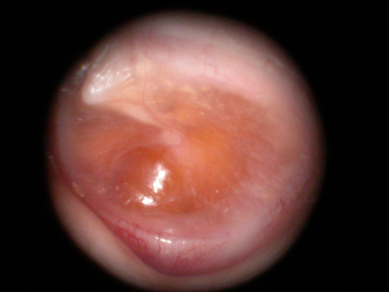 DSCN1284.JPG.jpg