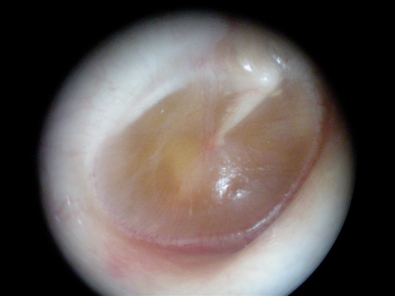 DSCN0469.JPG.jpg