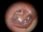 DSCN3320.JPG