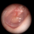 DSCN1828.JPG