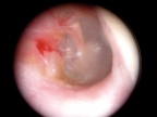 DSCN2316.JPG
