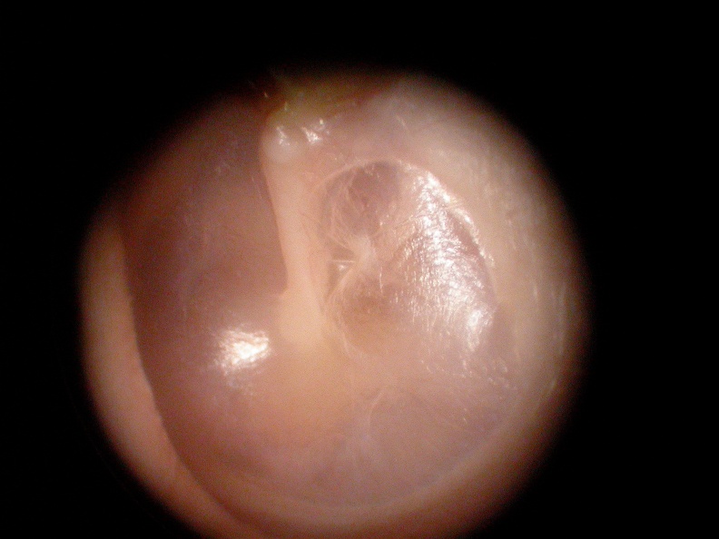 DSCN0436.JPG.jpg