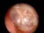 DSCN2468.JPG