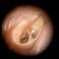 DSCN0837.JPG