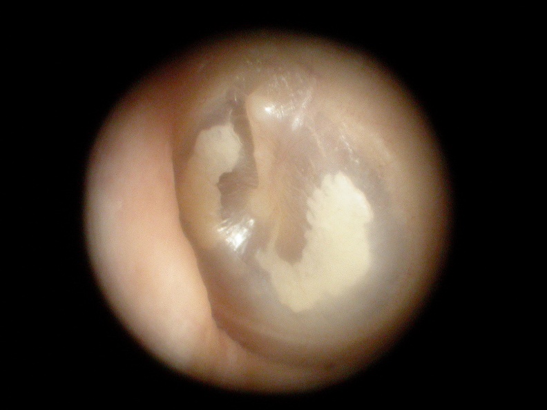 DSCN0512.JPG.jpg