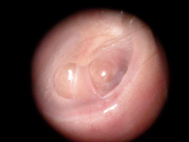DSCN1337.JPG.jpg