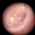 DSCN1337.JPG