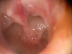 DSCN0107