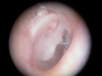 DSCN0016