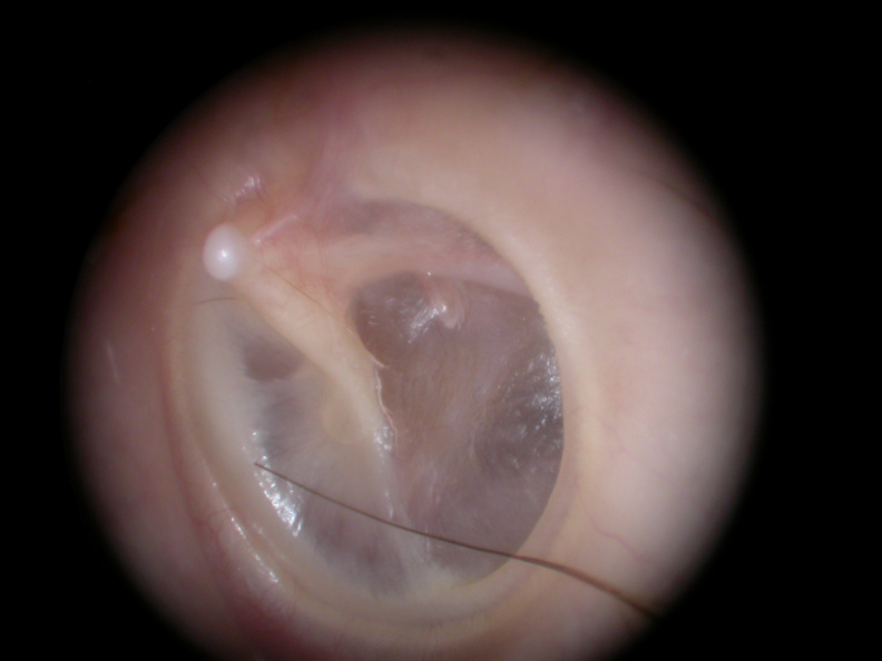 DSCN5700.JPG